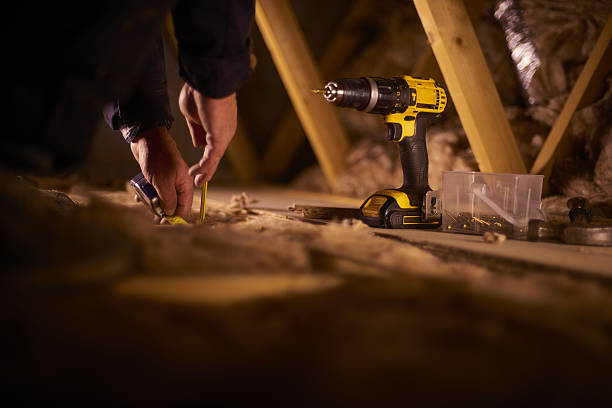 Best Professional Insulation Contractor  in Miami Beach, FL