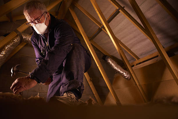 Best Garage Insulation Installation  in Miami Beach, FL